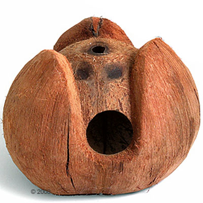Coconut House For Small Rodents - Ã˜ 13 Cm