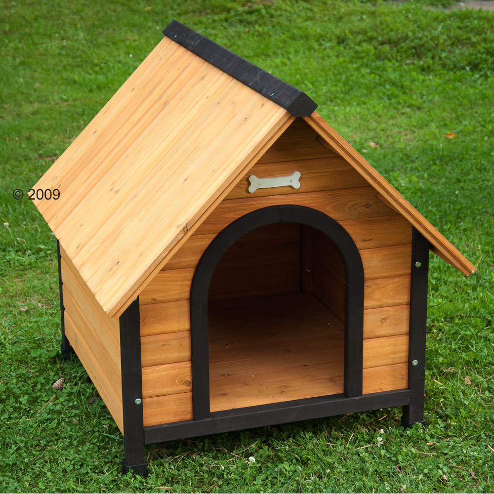 Dog House