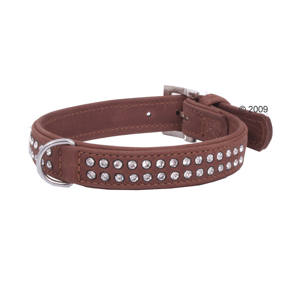 zooplus co uk category dogs dog leads dog collars leather zooplus co uk category dogs dog leads dog collars leather