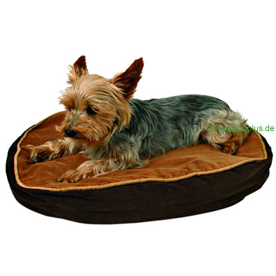 Corduroy Pillow Jimmy - 80 x 55 x 12 cm