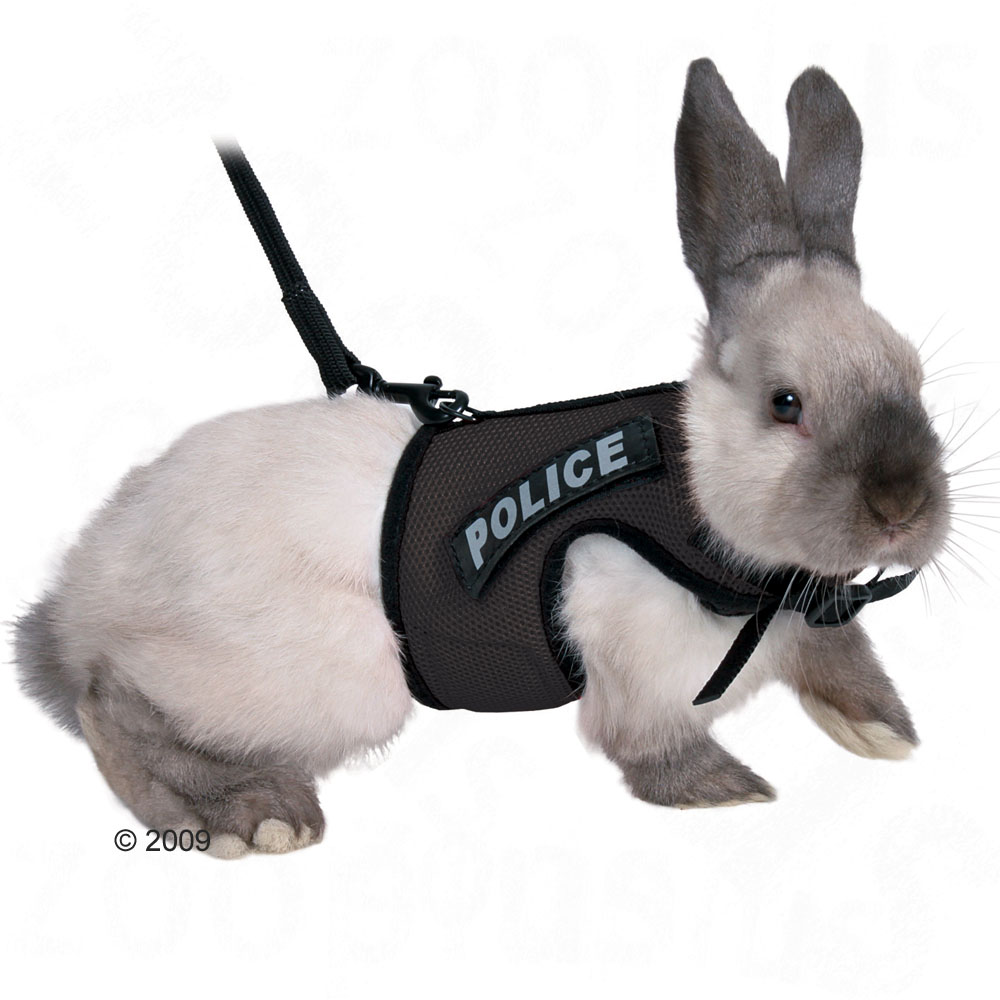 rabbit suit xbunny colour 