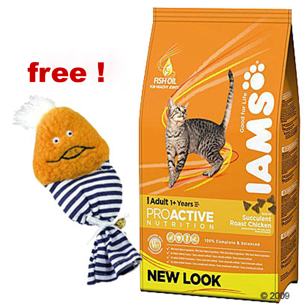 3 Kg Iams + Catnip Chick Goodie Bag Free! - Kitten and Junior