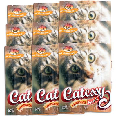 171181 1 Catessy BBQ Sticks 9 x 5 Pieces   with fresh salmon