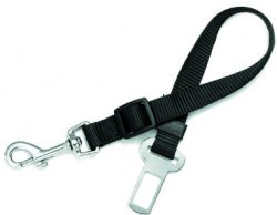Connecting Belt - Width 20 mm