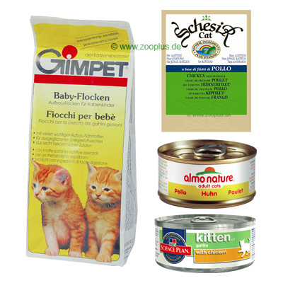 Kitten Taster Value Pack - Kitten Taster Pack
