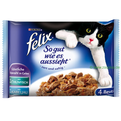 Felix 