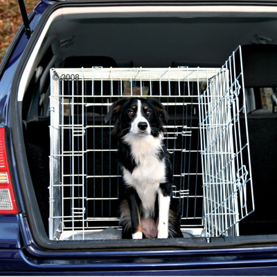 Dog in Car Cage