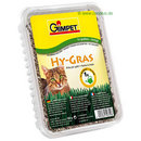 Gimpet Hy-Gras