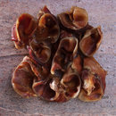 Pig Ear Auricles