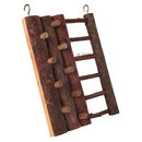 Climbing Wall for Small Rodents