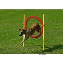 Agility Tire Jump