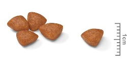 Kibble