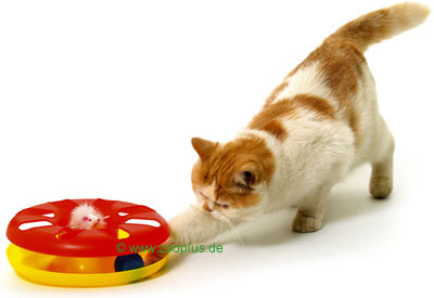 Kitty Round About Cat Carousel  -