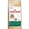 Royal Canin Maine Coon 31