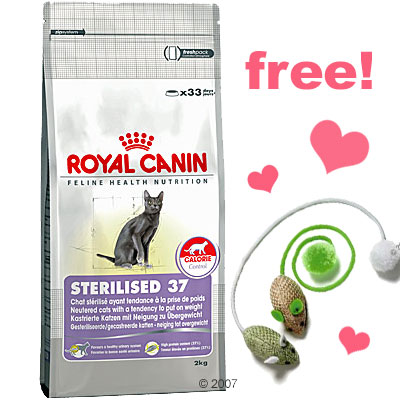 10 Kg Royal Canin Feline 2 Cat Toy Egypt Mice Free! Indoor 27
