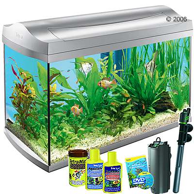 tetra aquaart aquarium 60 l size 57 x 35 x 30 cm of zooplus co uk 171651 0 tetra aquaart aquarium 60 l size 57 x 35 x 30 cm of zooplus co uk 171651 0