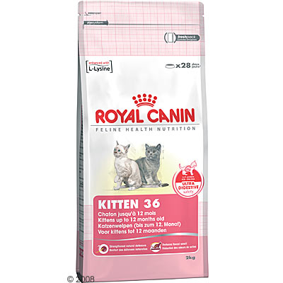 Royal Canin Kitten 36 Economy Pack 2 x 10 kg 4900 3 Royal Canin Kitten 36 Economy Pack 2 x 10 kg