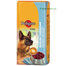 Pedigree German Shepherd
