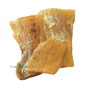 Beef Neck Tendons