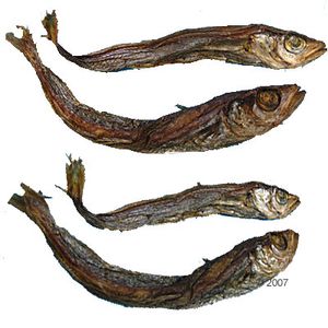 Blue Wittling Dry Fish