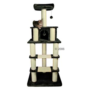 Cat Tree Cartagena