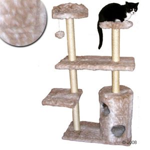 Cat Tree Lanai Husky