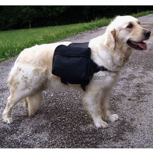 Dog Backpack GLOBETROTTER