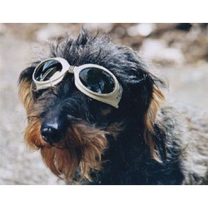 Dog Goggles Mini  Model