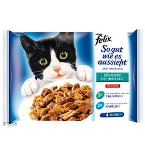 Felix 