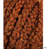 JR Farm Foxtail-Millet, Red