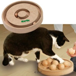 Kitty Brain Train 2in1 Cat Toy