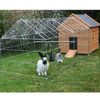 Small Animal Shed for Bunnies and Fowl
