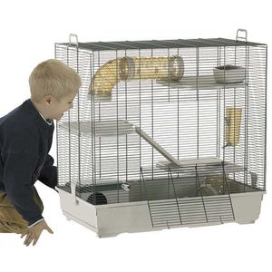 Tom Rat Cage