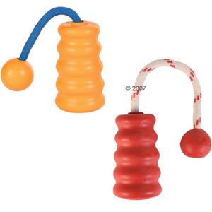Trixie Fun-Mot Dog Toy