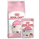 Royal Canin Kitten pour chaton