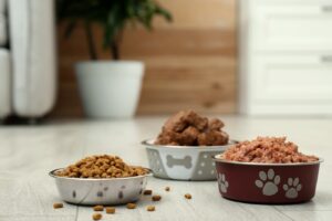 Dry Dog Food or Wet Food: Which is Better?