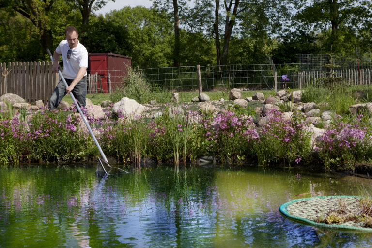 Garden Pond