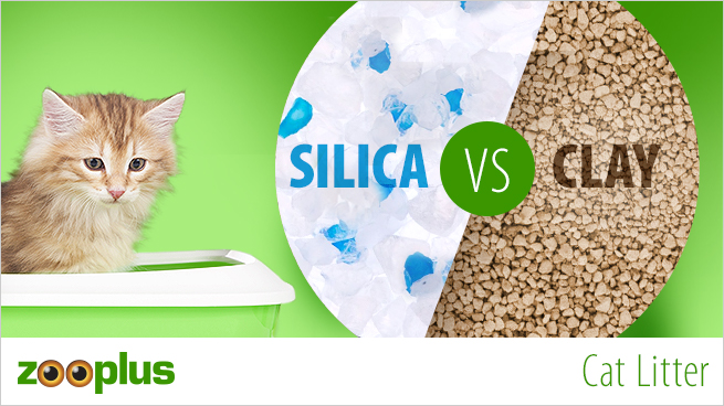 silica sand cat litter