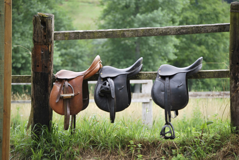 Saddle Care and Bridle Care - Horse