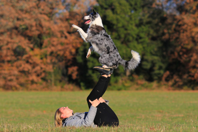 dog dancing