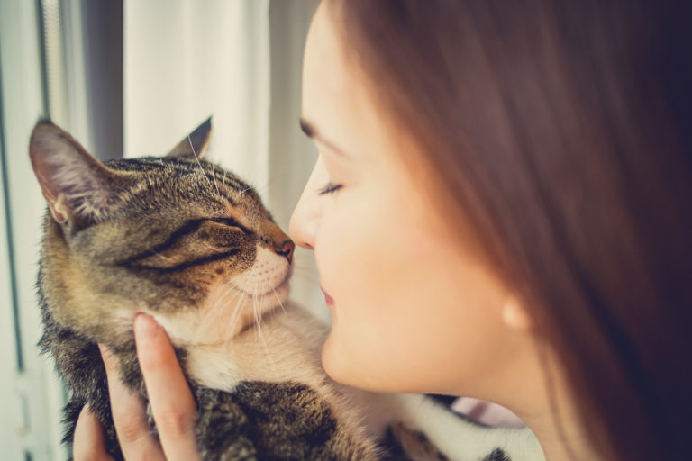 Why cats are good for our health