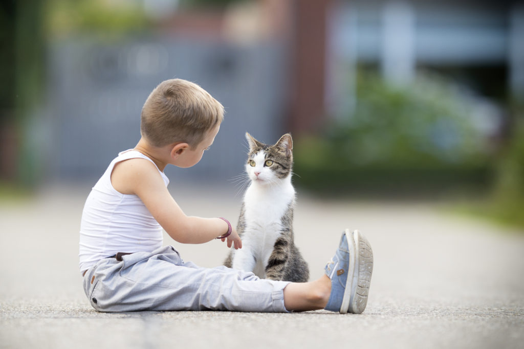 cat playing with child