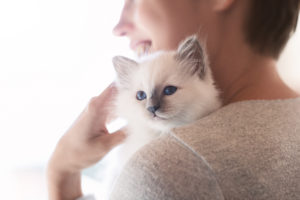 10 Questions for a Cat Breeder