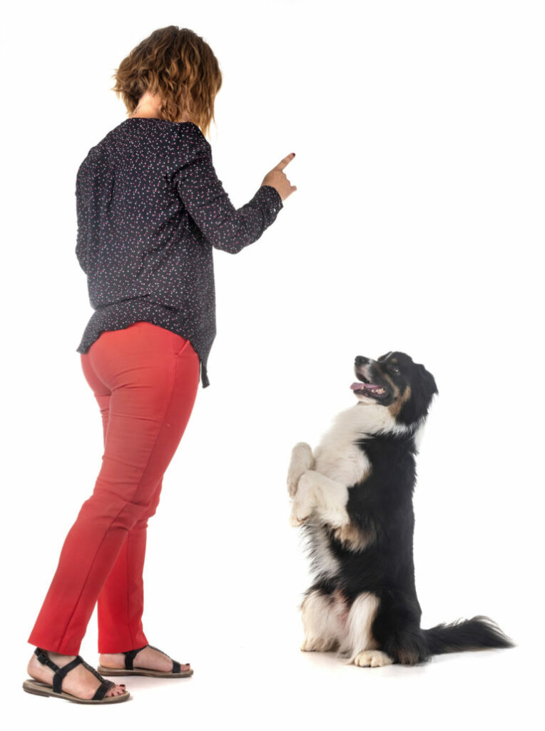 Woman training dog obedience