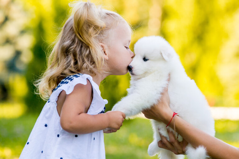 Child kissing a puppy