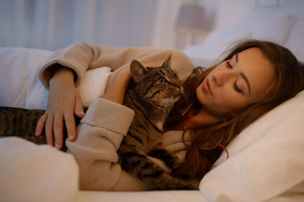 Stressful cat meowing at night