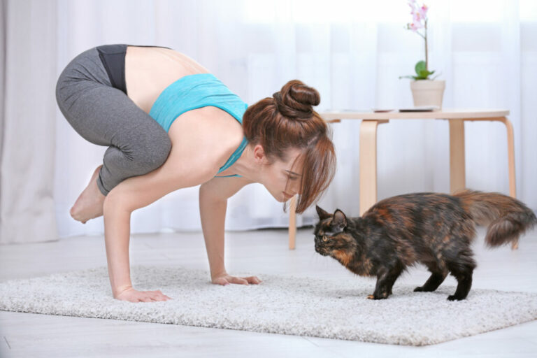 cat yoga