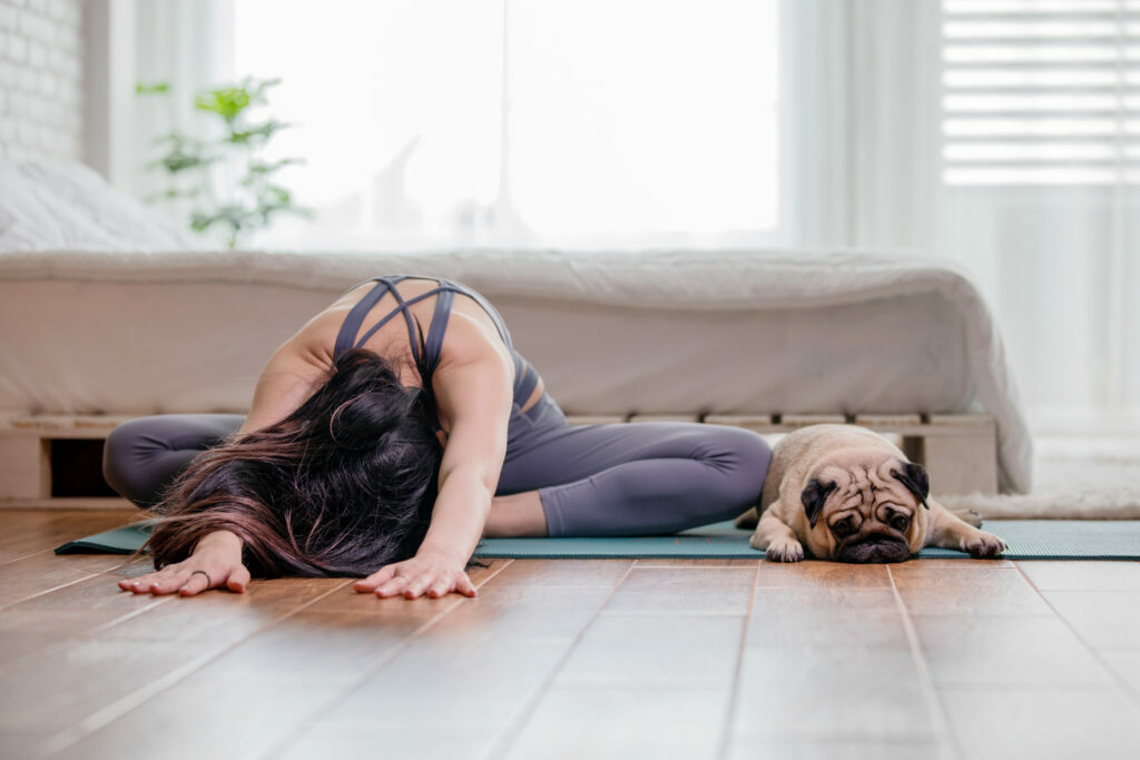 dog yoga with pug