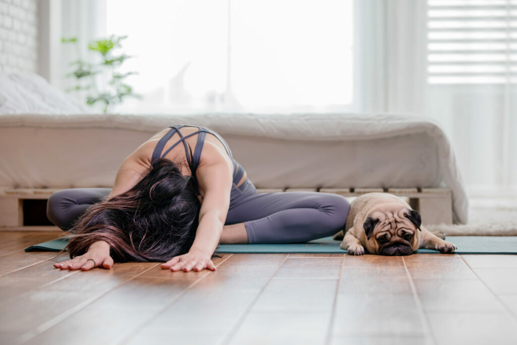 dog yoga with pug dog yoga with pug