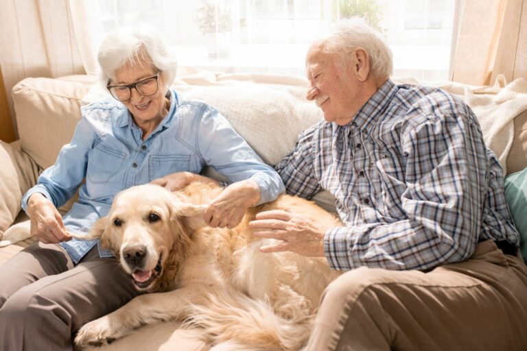 is canine dementia fatal